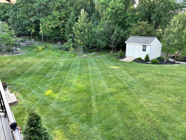 CAG Lawn Services