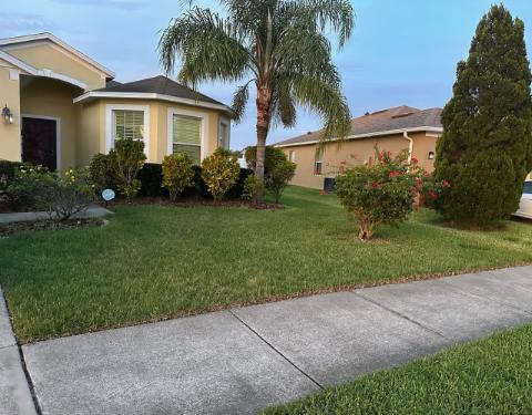 Elegant Lawn Care