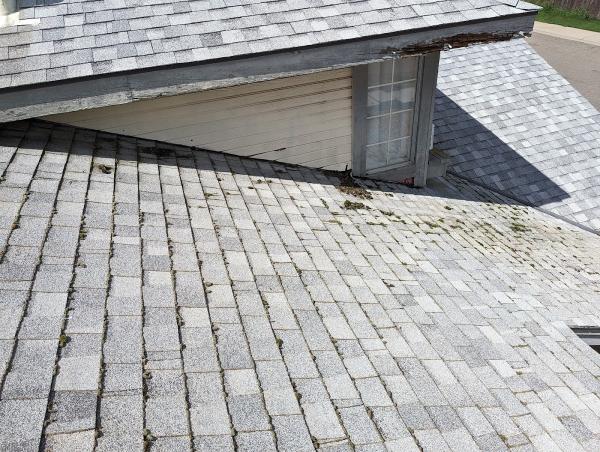 Elements Exterior Cleaning