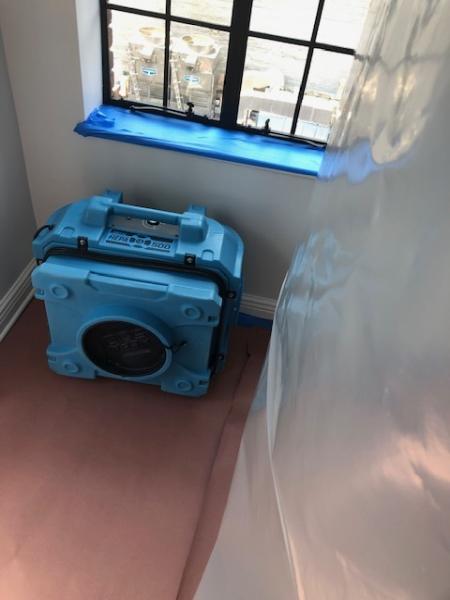 New Jersey Mold Specialist
