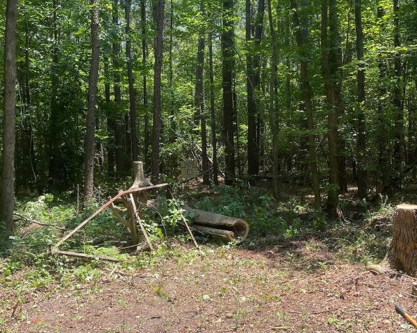 T.C. Tree Service