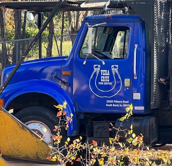 Vera Cruz Tree Service