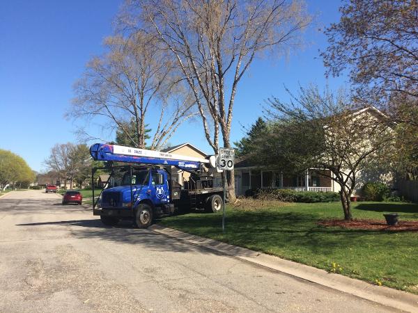 Vera Cruz Tree Service