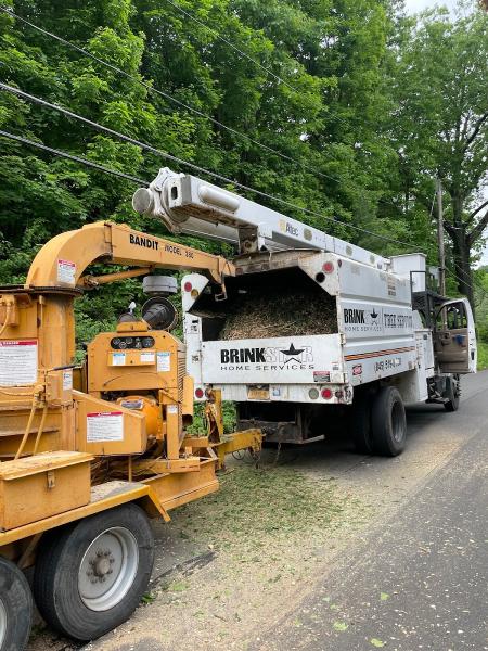 Brinkstar Tree Service
