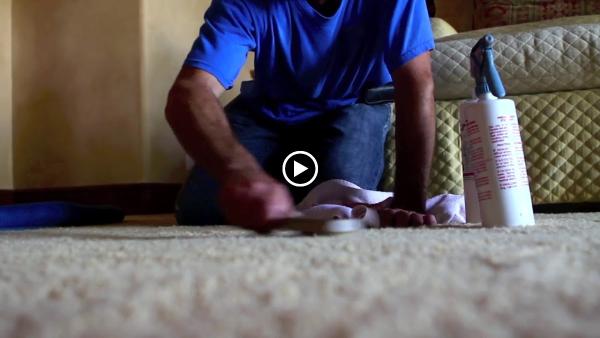 Silver Olas Carpet Tile Flood Cleaning