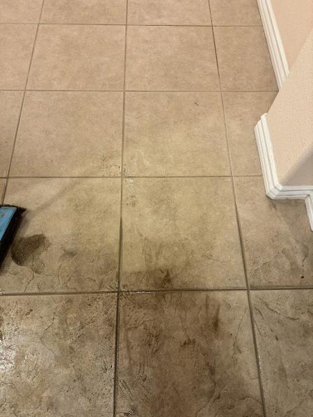 Silver Olas Carpet Tile Flood Cleaning