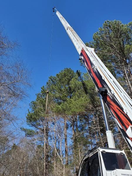 Allen Tree Service