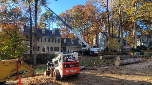 Allen Tree Service