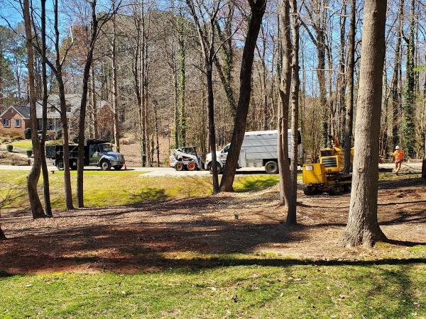 Allen Tree Service