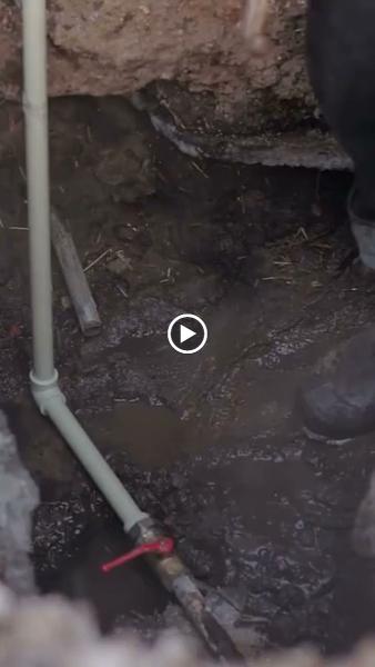 Force Plumbing Services