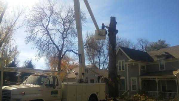 Ryans Tree Care & Services LLC