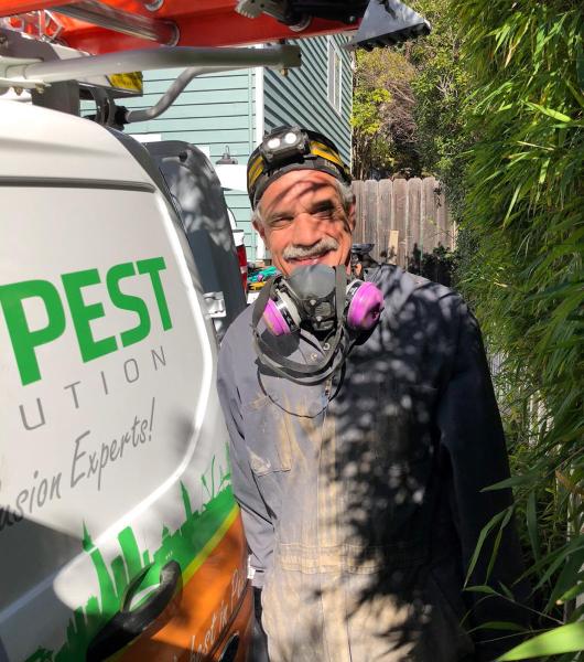 Bay Pest Solution Inc