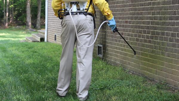 Bay Pest Solution Inc