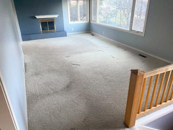 Perfect Solution Carpet Cleaning
