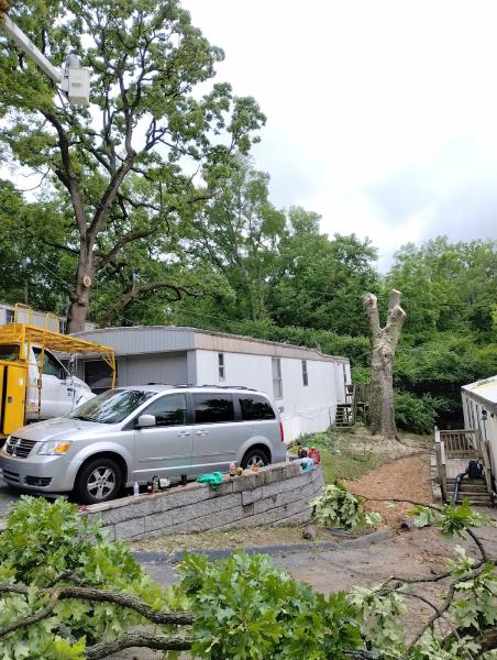 Thompson Tree Care and Landscaping