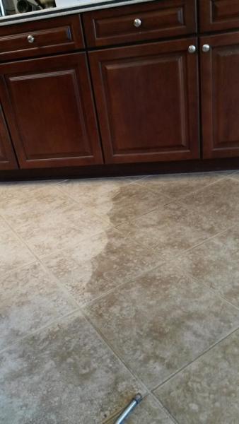 Horizon Carpet