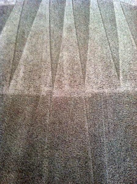 Horizon Carpet
