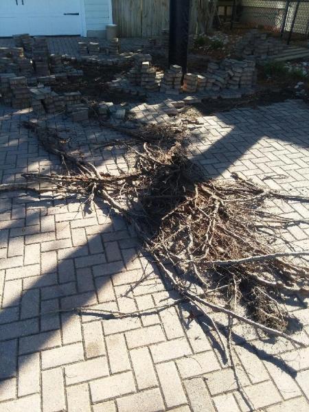 Affordable Hardscapes