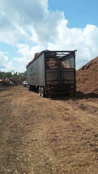 Gaston Tree Debris Recycling