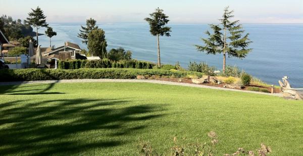 Consolidated Landscape Maintenance