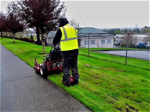 Consolidated Landscape Maintenance