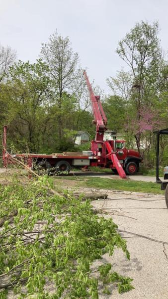 Augusta Tree & Stump Removal Services