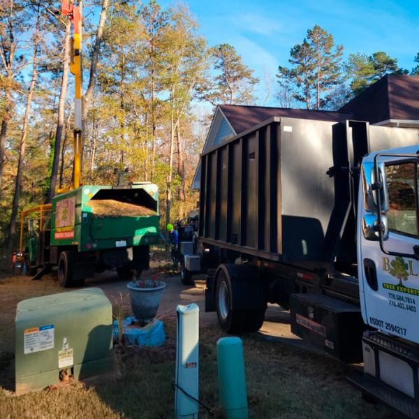 B & L Tree Expert LLC