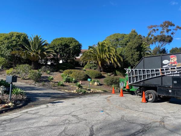 The Beaver Tree Co. Inc. DBA Giant Beaver Tree Services