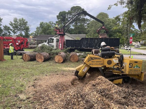 Longwater Tree Service & Land Management