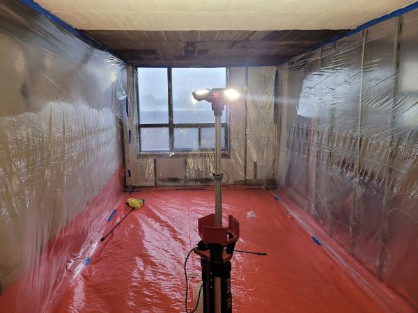 Certified Mold Free