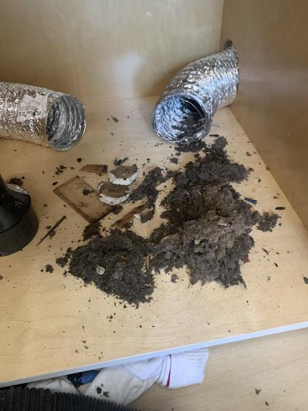 Edified Services Dryer Vent Cleaning