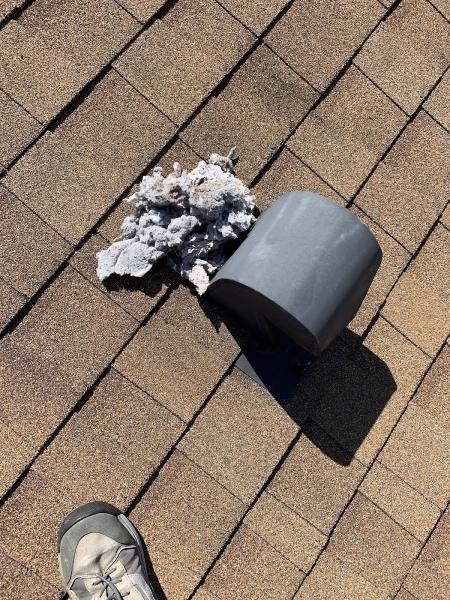 Edified Services Dryer Vent Cleaning
