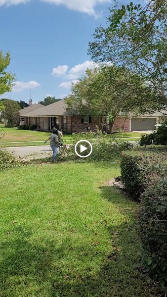 Green Leaf Tree Service