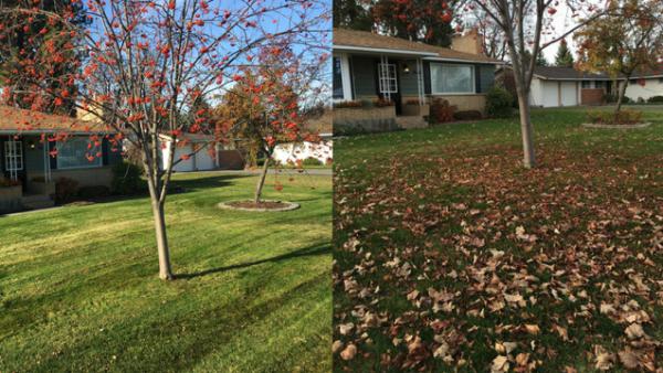 Spokane's Finest Lawns