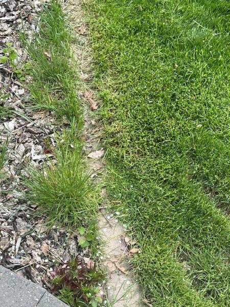 Spokane's Finest Lawns