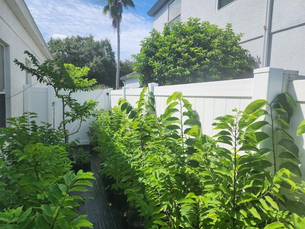 Central Florida Fence Company