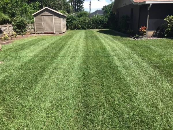Envious Lawn and Landscape LLC