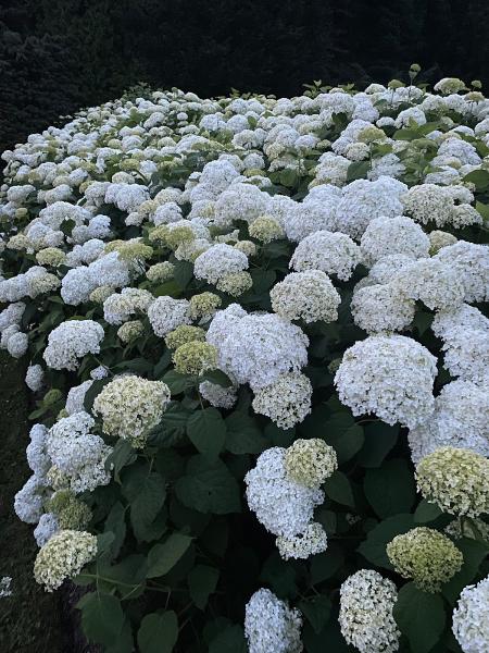 Heirloom Gardens LLC