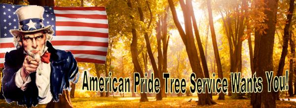 American Pride Tree Service LLC