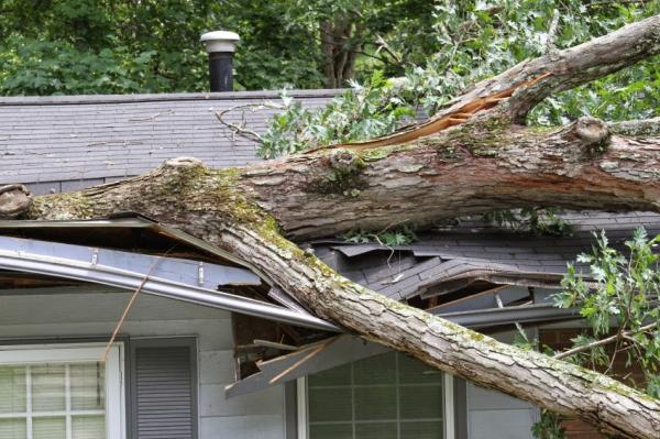 Superior Tree Service