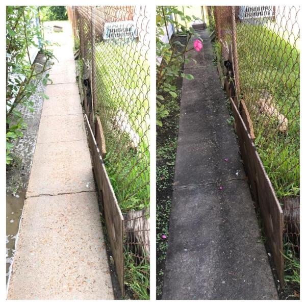 Houston Wash and Restore LLC