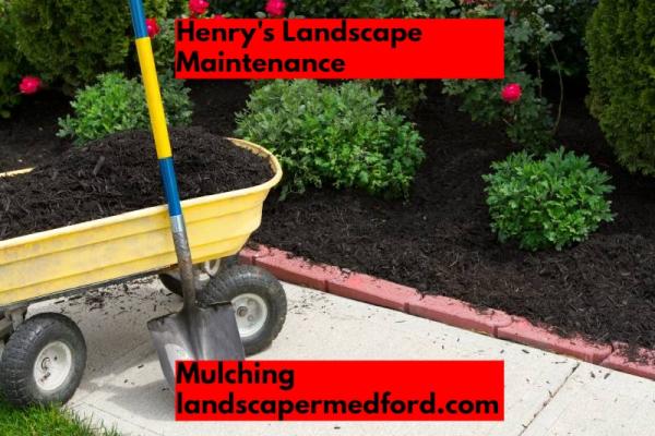 Henry's Landscape Maintenance