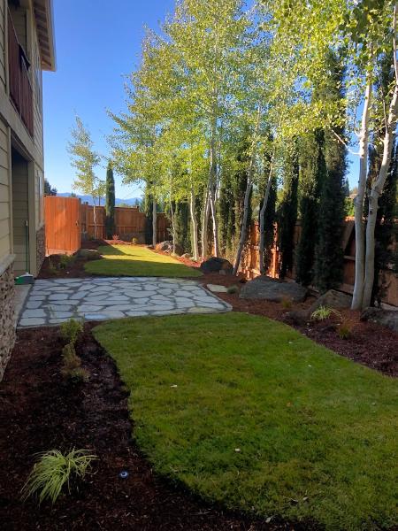 Henry's Landscape Maintenance