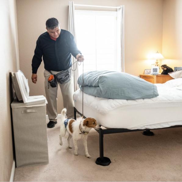 Bed Bugs All Gone