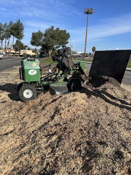 New Horizon Tree Service