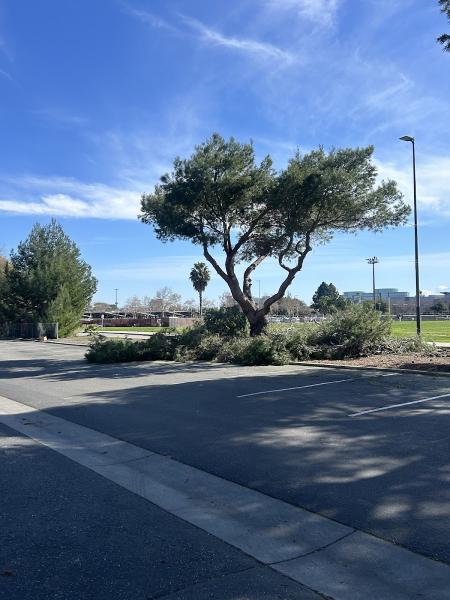 New Horizon Tree Service