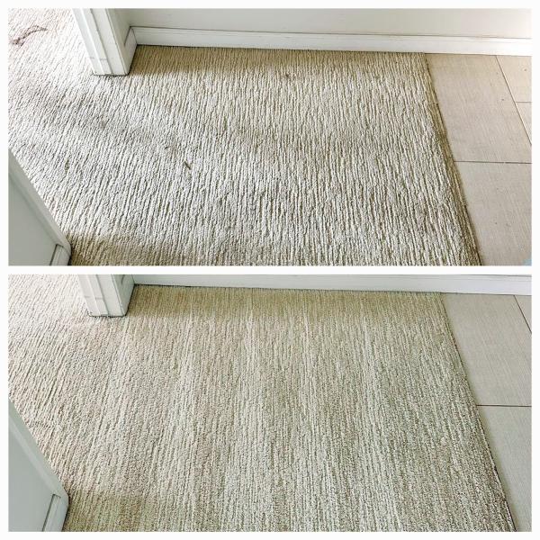 All Elite Carpet & Floor Care