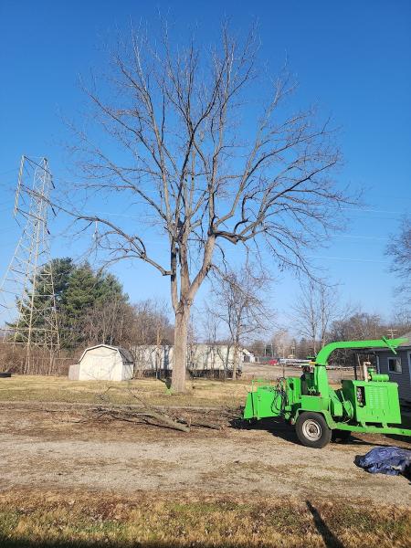 Stump Magic