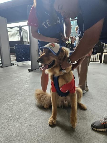 Doggy Doggz Pet Waste Removal Dallas