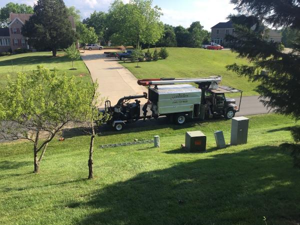 Goodfellers Tree Service